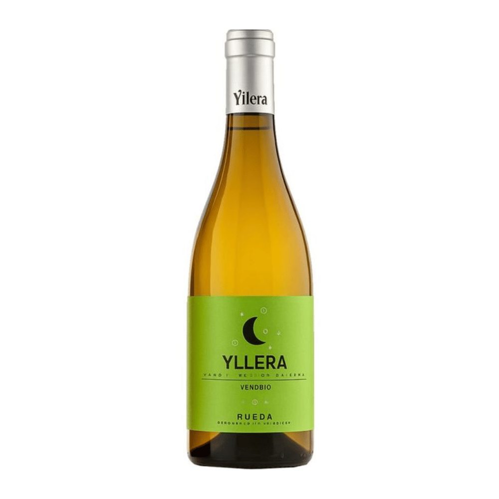 Yllera Verdejo Vendimia Nocturna
