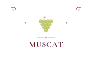 **Muscat**