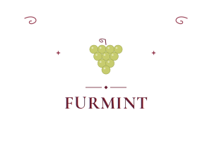 **Furmint** 