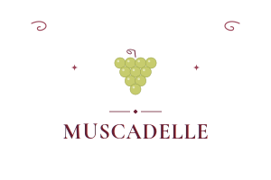 **Muscadelle**
